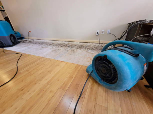 Professional Water Damage Repair technician working in Broadway, OH